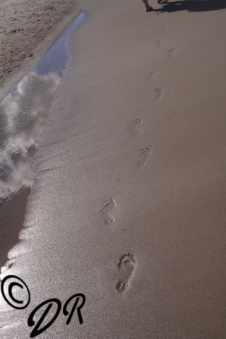 Spuren im Sand